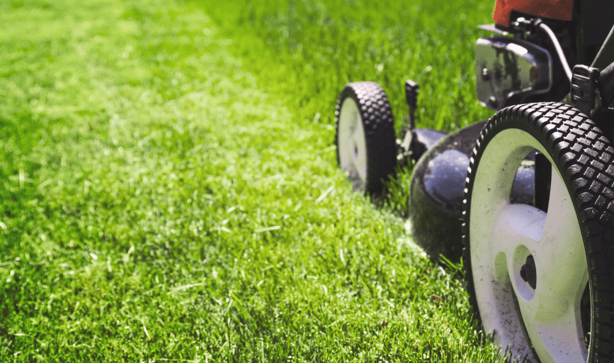 Family Roots Lawncare